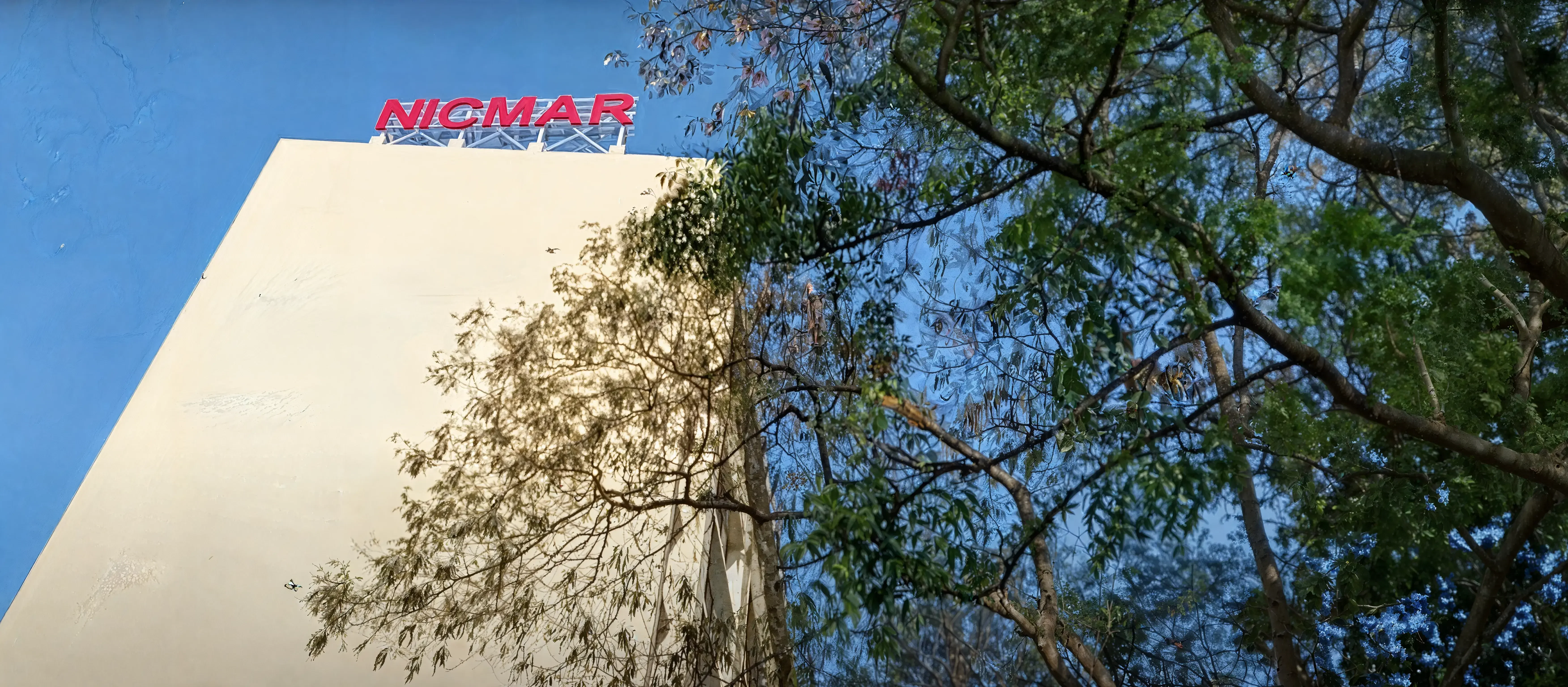 Campus