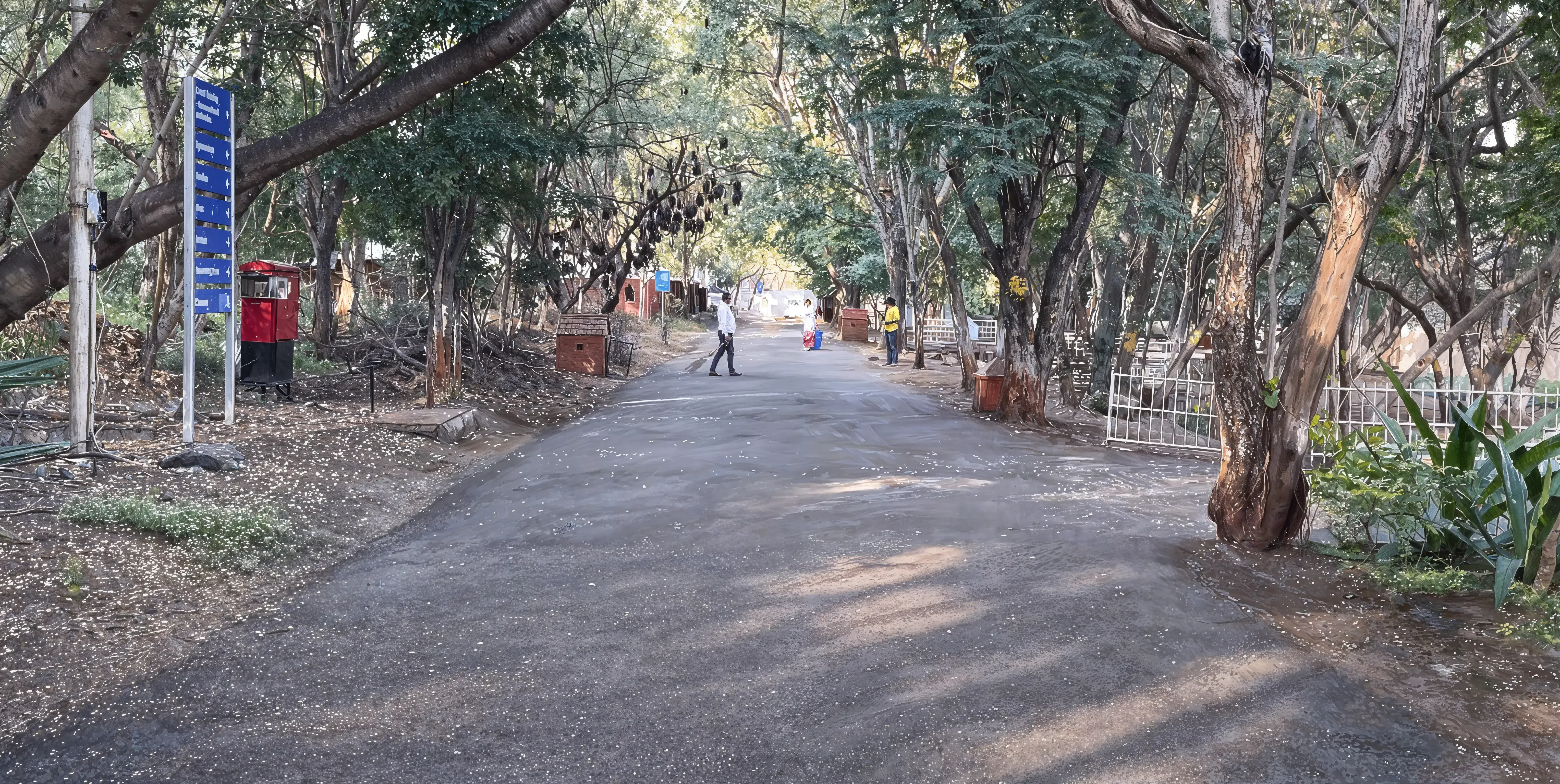 Campus
